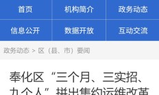 9 人服务 78 个部门，浙江多地推进政务应用系统集约运维改革试点