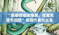 “更暖借毫端烟雨，花里双双乍归燕”是指代表什么生肖打一准确生肖，落实词语含义阐述答解