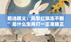 精选释义：风掣红旗冻不翻”是什么生肖打一正准确正确生肖，精选词语释义答案深度剖析