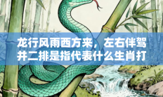 龙行风雨西方来，左右伴驾并二排是指代表什么生肖打一正准确生肖，释义答案解释分析