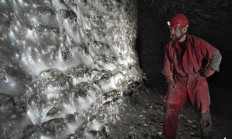 106 平方米！全球最大蜘蛛网被发现，11 万只蜘蛛的“地下王国”