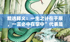 精选释义：一生之计在于辰，一言必中在掌中”代表是指什么生肖打一正准确生肖，精选释义词语答案解释