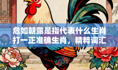 危如朝露是指代表什么生肖打一正准确生肖，精粹词汇答案注解与探析