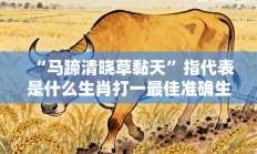 “马蹄清晓草黏天”指代表是什么生肖打一最佳准确生肖，精选释义答案解释!