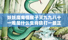 妖妖魔鬼怪猴子灭九九八十一难是什么生肖猜打一最正确生肖，精粹词汇答案注解与探析