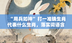 “用兵如神”打一准确生肖代表什么生肖，落实词语含义阐述答解