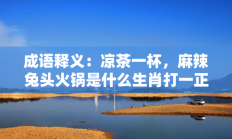 成语释义：凉茶一杯，麻辣兔头火锅是什么生肖打一正准确正确生肖，落实词语含义阐述答解