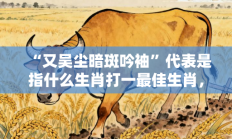 “又吴尘暗斑吟袖”代表是指什么生肖打一最佳生肖，核心词汇释义剖析与答案阐释