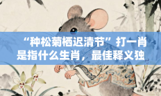 “种松菊栖迟清节”打一肖是指什么生肖，最佳释义独家答案解释