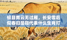 极目南云无过雁，长安雪后似春归是指代表什么生肖打一准确生肖，核心词汇释义剖析与答案阐释